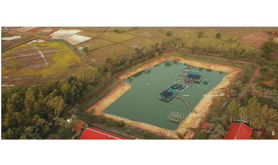 EELISA Alliance: Resource-Efficient Pond Aquaculture Grow-Out Operation EA_AGO1
