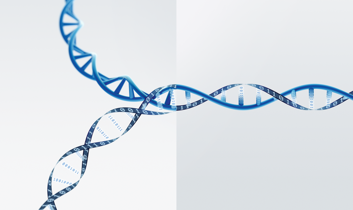 EELISA Alliance: MT3 Marketing Technology MT3/25a